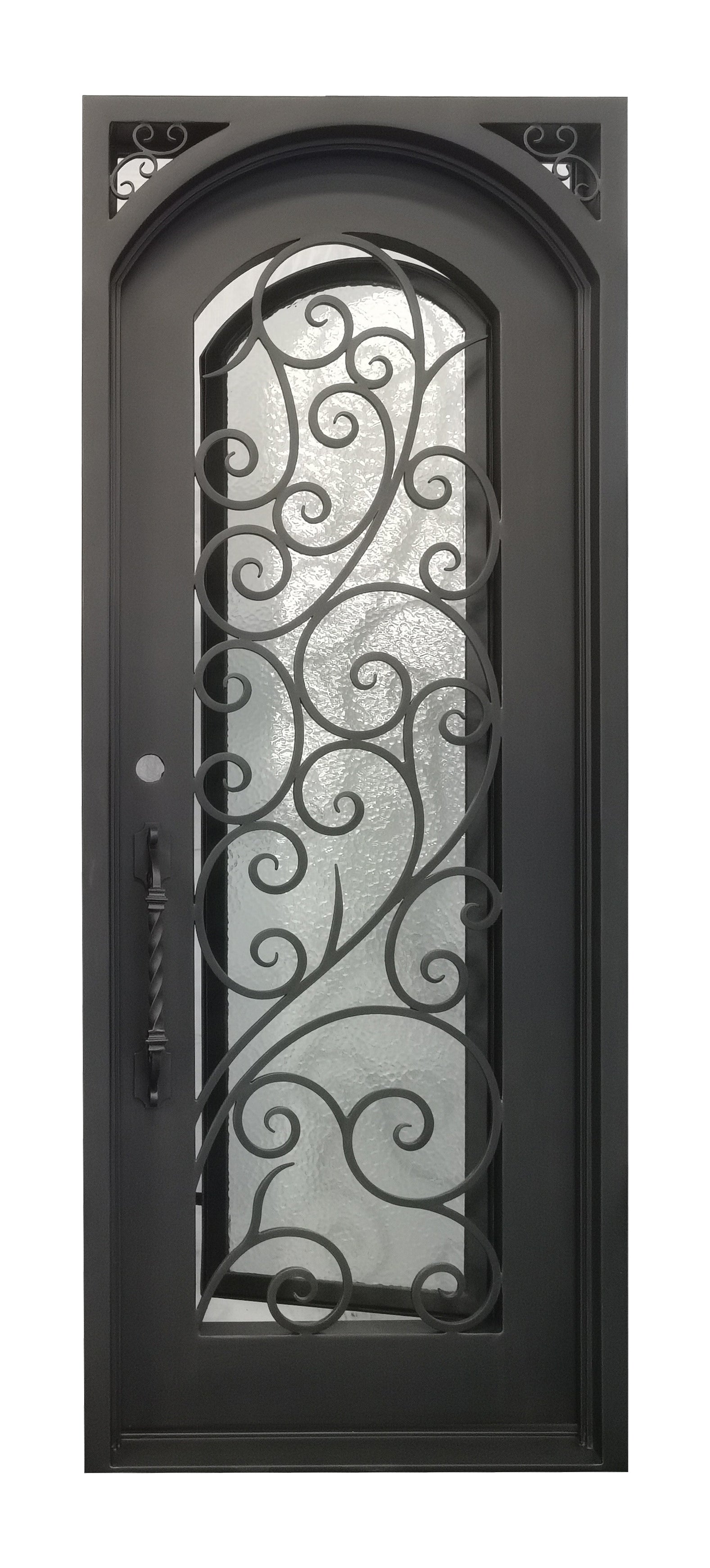 Carthage Model Pre Hung Single Front Entry Wrought Iron Door With Aqua Lite Glass